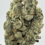 LemonZ 32.6% THCA (Clearance)