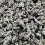 Governmint Oasis Smalls
