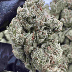 Gorilla Glue 28.9% THCA