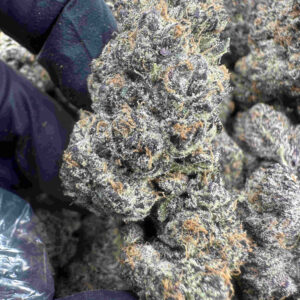 Ice Cream Pie 26.6% THCA