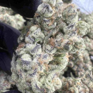 MAC1 25.9% THCA
