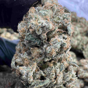 OG Kush 29.7% THCA