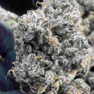 Red Runtz (Red Pop x Runtz) 30.8% THCA