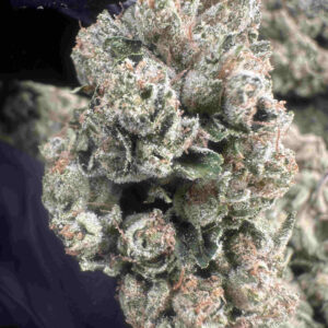 SFV OG 26.8% THCA