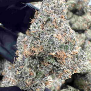 Lemonhead 29.7% THCA