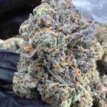 RS11 28.6% THCA