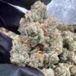 Skywalker OG 31.2% THCA