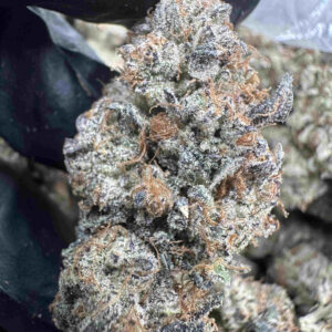 Watermelon Punch 32.4% THCA