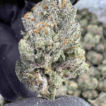 Candy Chrome 31.9% THCa