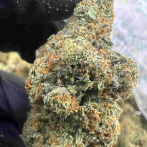Gelato 28.9% THCA