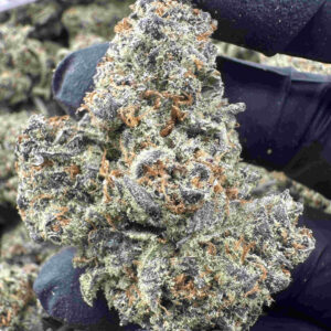 Jah Magic 30.2% THCA