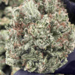 Lemon Kush 25.8% THCA