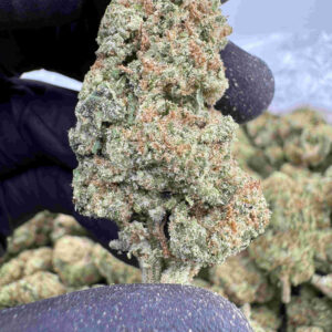 White Grape 25.1% THCA