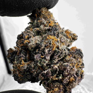 Gelato 41 30.5% THCA