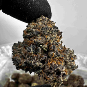 Pure Michigan 29.7% THCA