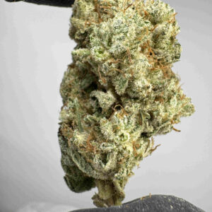 Gorilla Glue #4 30.9% THCA