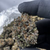 Guala 29.4% THCA
