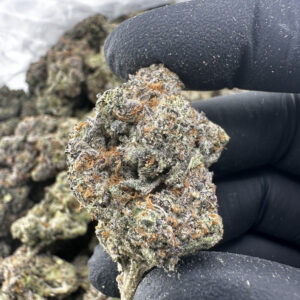 LA Pop Rocks 30.3% THCA