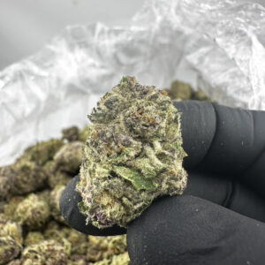 Mai Tai 26.9% THCA