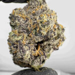 Rainbow Mints 31.2% THCA