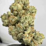 Skywalker OG 29.5% THC