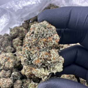 Wifi OG 31.7% THCA