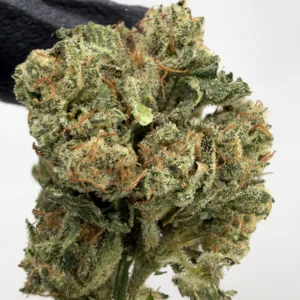 Gorilla Glue #4 30.9% THCA