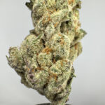 Dough Boy 26.4% THCA