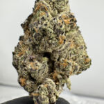 Ice Cream Cake 25.8% THCA