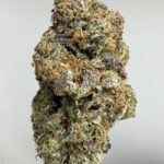 UK Cheese 29.3% THCA