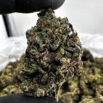 Cherry Fritter 29.8% THCA