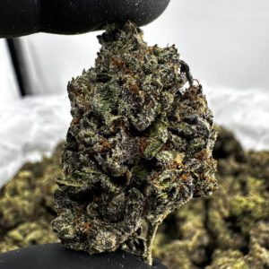 Cherry Fritter 29.8% THCA