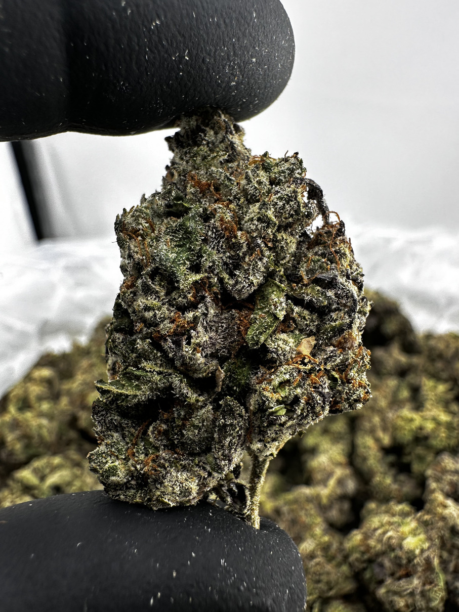 Cherry Fritter 29.8% THCA