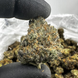 Garlic Crusher 28.5% THCA