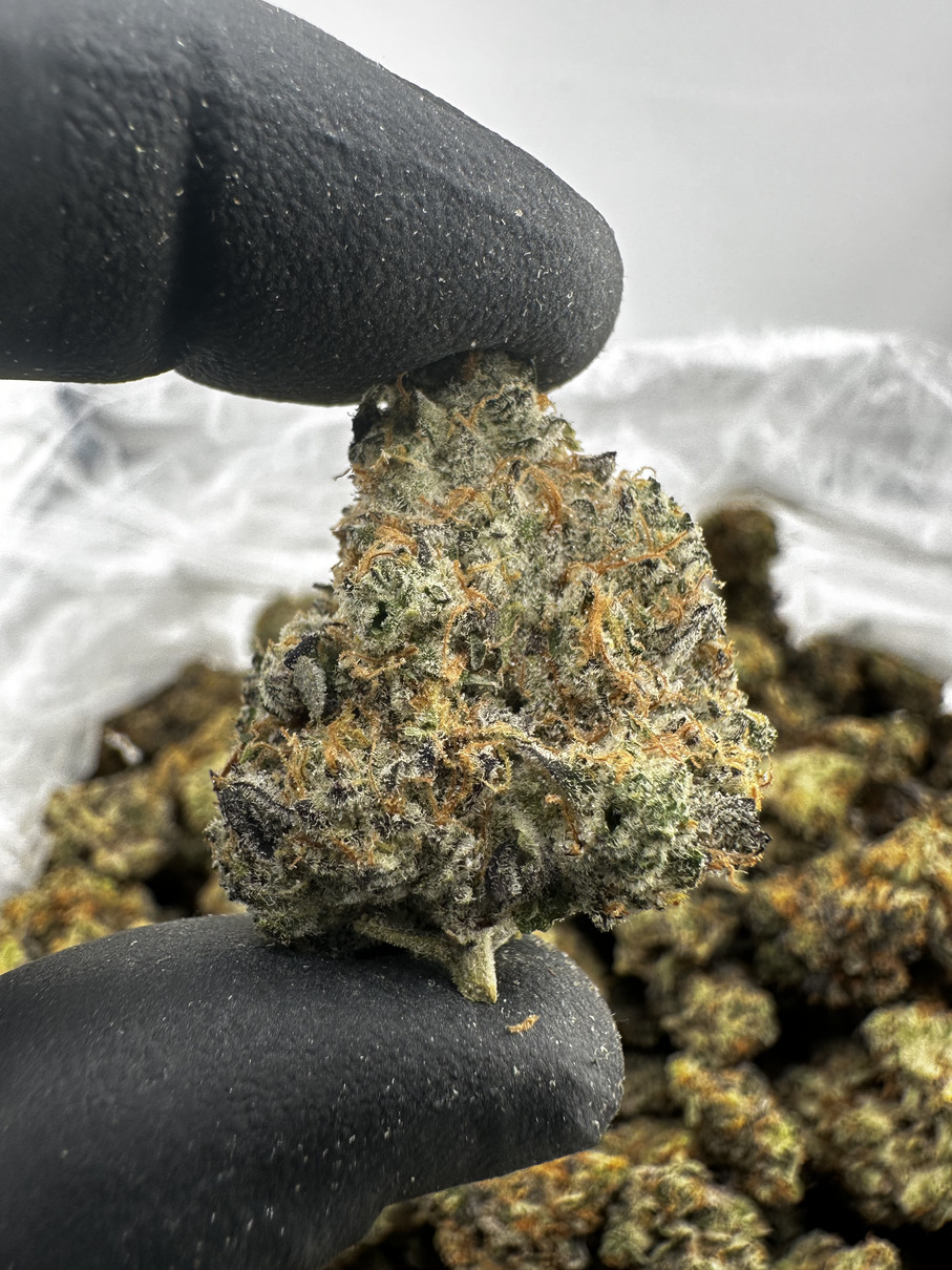 Garlic Crusher 28.5% THCA