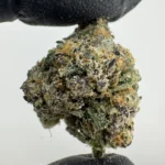 Apples N Bananas x Runtz 28.7% THCa