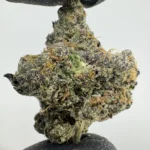 GSC x Sunset 29.8% THCa