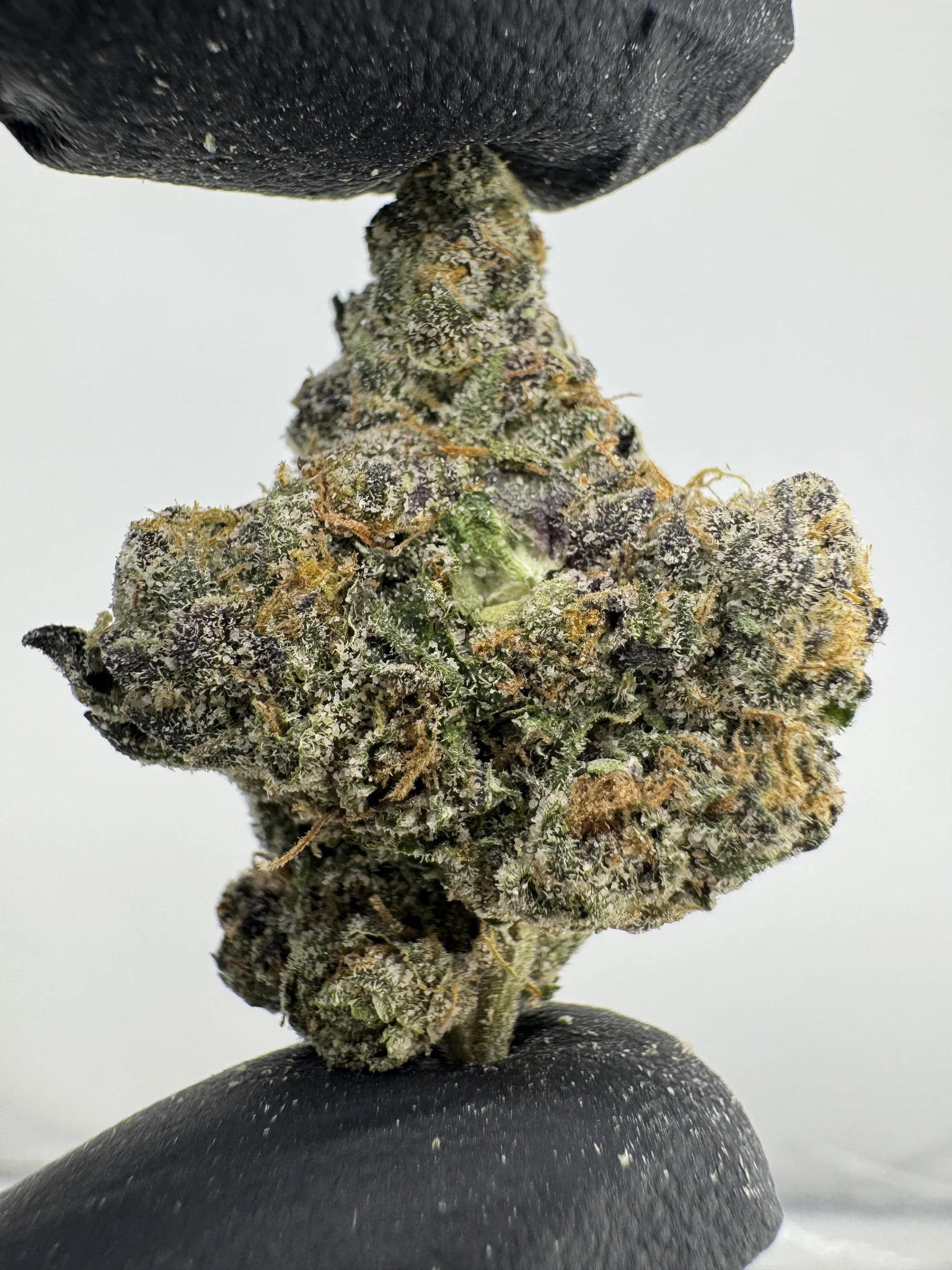 GSC x Sunset 29.8% THCa
