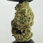 Lilac Diesel 27.9% THCA