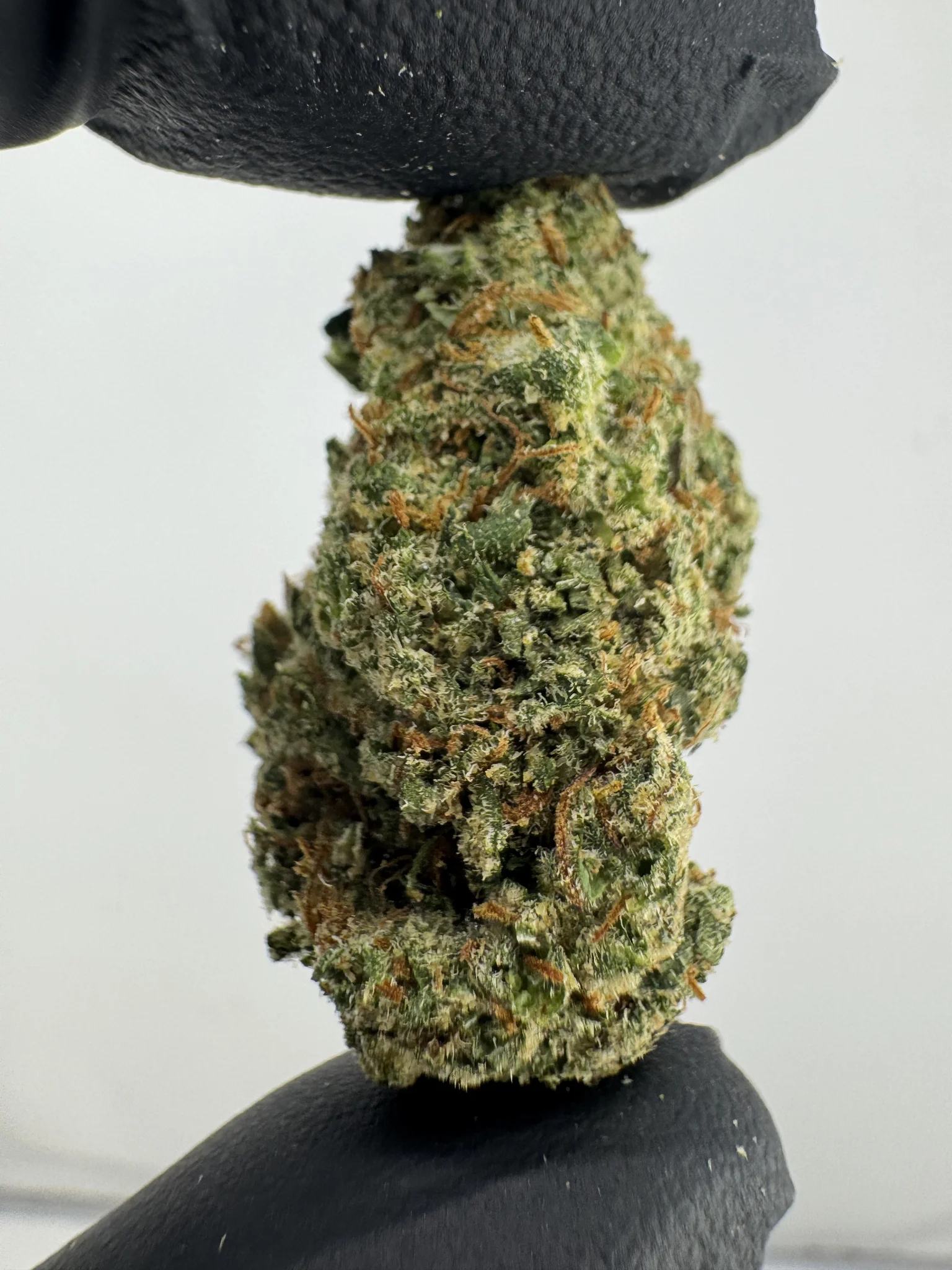 Lilac Diesel 27.9% THCA