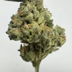 Master OG 29.8% THCA