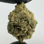 Zkittlez x Georgia Pie 27.3% THCA