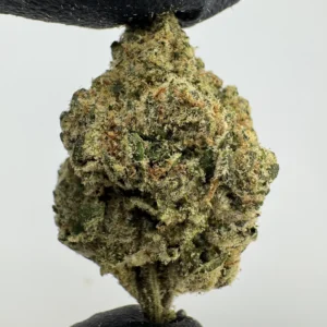 Zkittlez x Georgia Pie 27.3% THCA