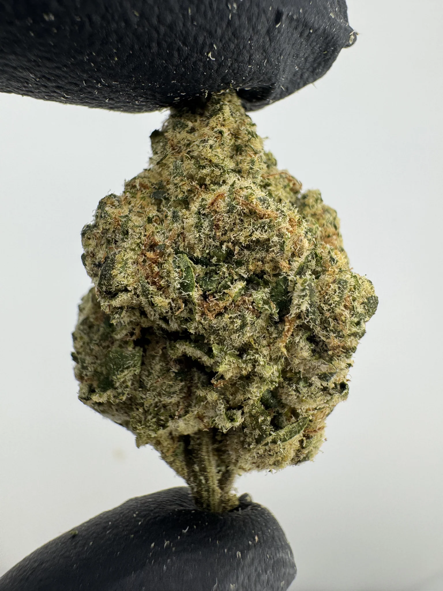 Zkittlez x Georgia Pie 27.3% THCA