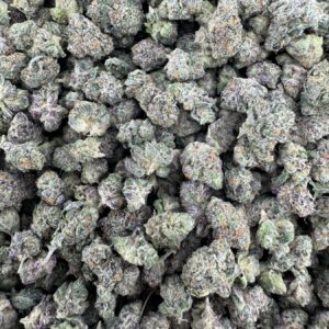 Biscotti x ICC Smalls