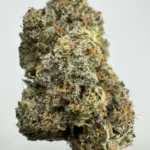 Bling Cheesecake 30.8% THCA