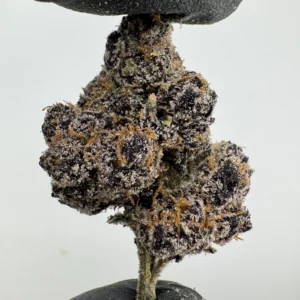 Blue Nerdz 30.4% THCA