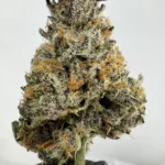 Chrome Dome 33.2% THCA