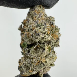 LCG X BX 33.2% THCA