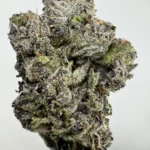 Lipstain 32.3% THCA